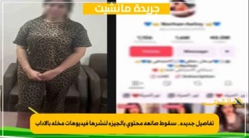 تفاصيل جديدة.. سقوط صانعة محتوى بالجيزة لنشرها فيديوهات مخلة بالآداب
